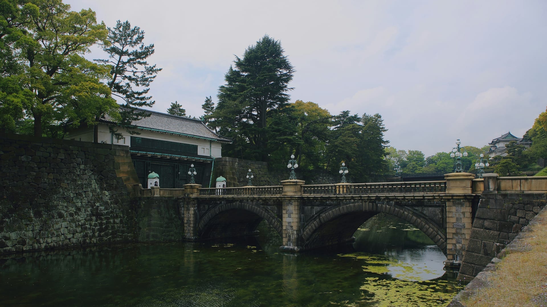 Outer moat and pine trees surrounding the Imperial Palace grounds, Tokyo, Japan